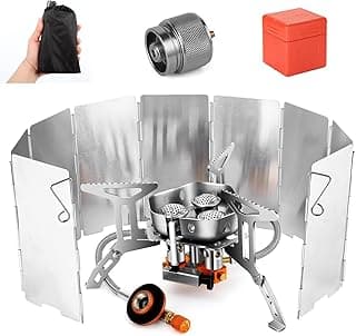 EatingBiting 3500W Camping Gas Stove with Case